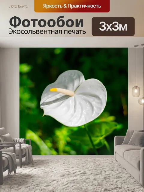 Фотообои Цветок