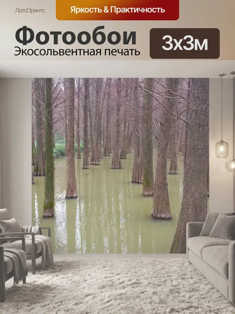 Фотообои Метасеквойя