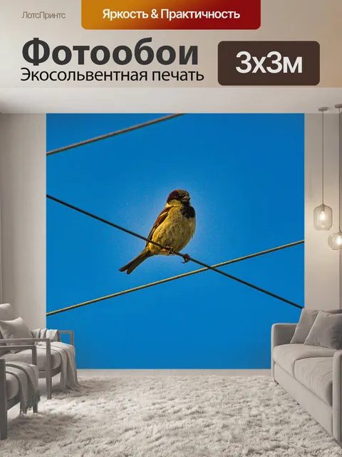 Фотообои Птица