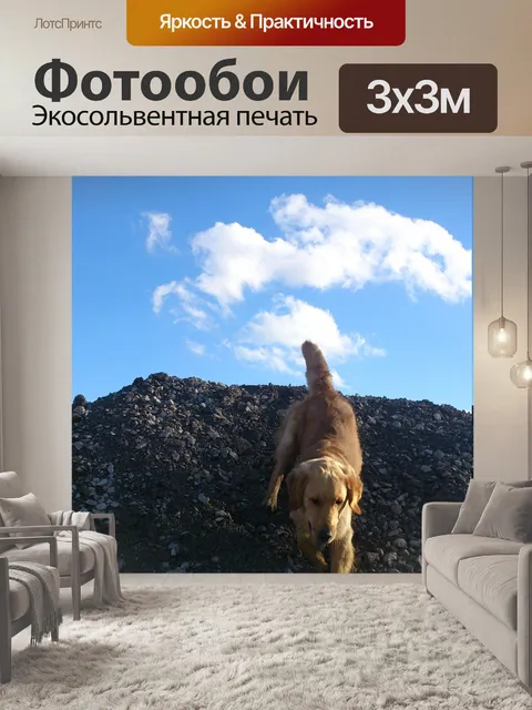 Фотообои Собака