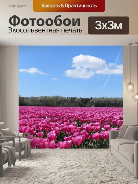 Фотообои Тюльпаны