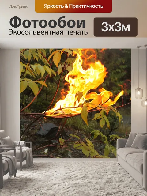 Фотообои Огонь