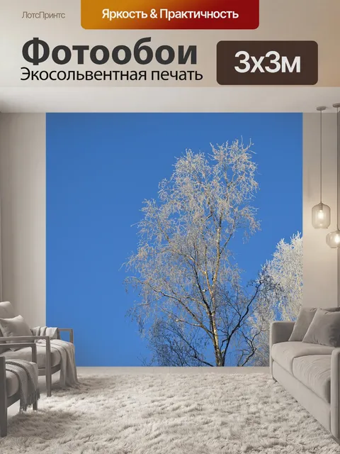 Фотообои Небо