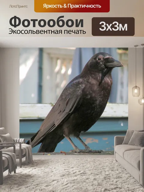Фотообои мой ворон