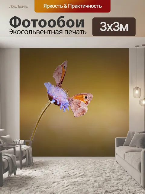 Фотообои Бабочки