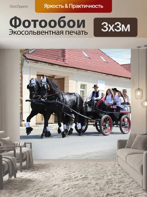 Фотообои Лошади
