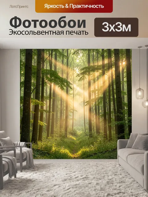 Фотообои Солнечный лес с лучами света