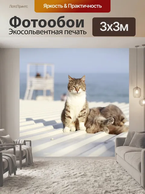 Фотообои Кот