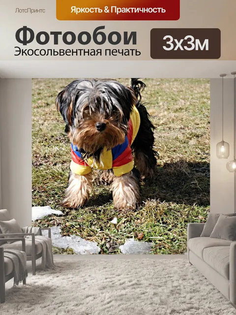 Фотообои Йоркшир сада
