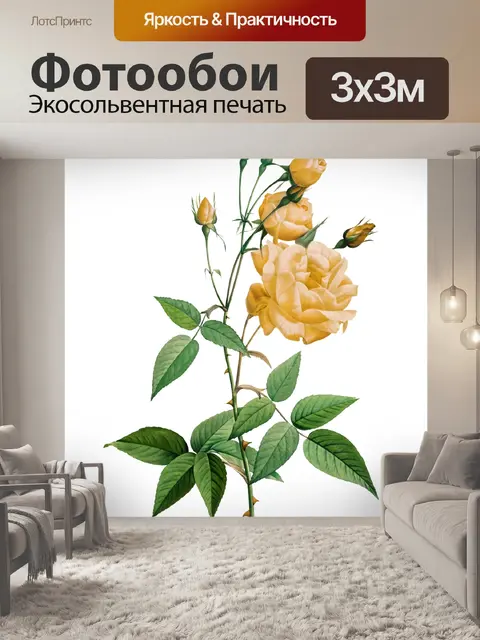 Фотообои Роза цветок старинная картина