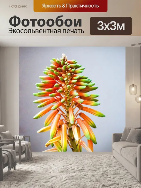 Фотообои Цветы