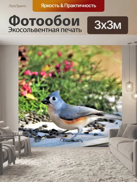 Фотообои Туфтовая синица и кедровые ветви