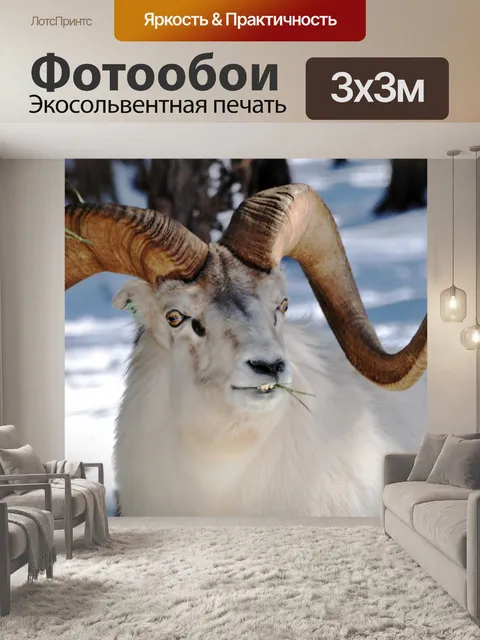 Фотообои Скалистые горы бараны