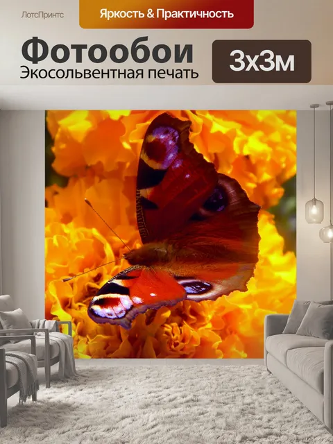 Фотообои Бабочка