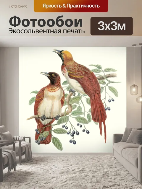 Фотообои Птица Винтаж Арт Плакат