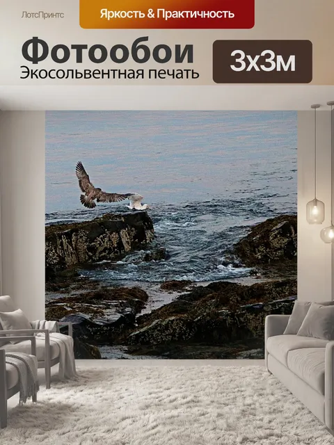 Фотообои ястреб