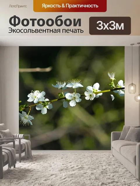 Фотообои Расцветает