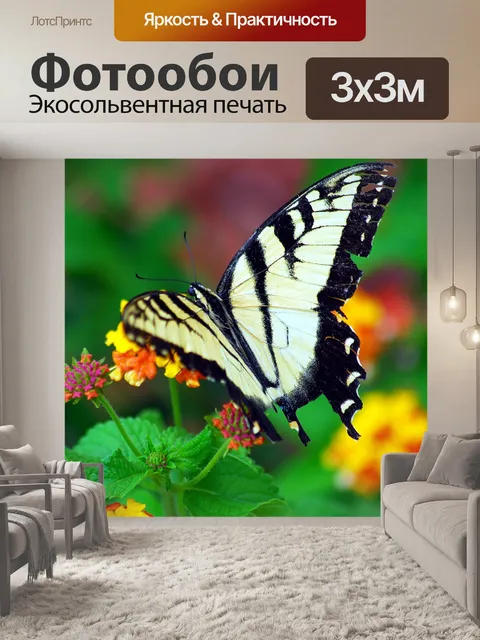 Фотообои Бабочка