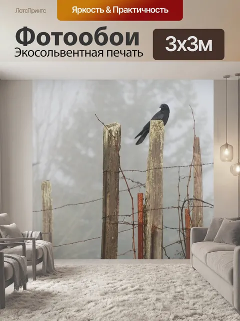 Фотообои Ворон