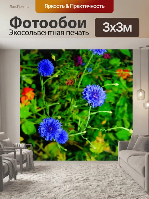 Фотообои Цветок