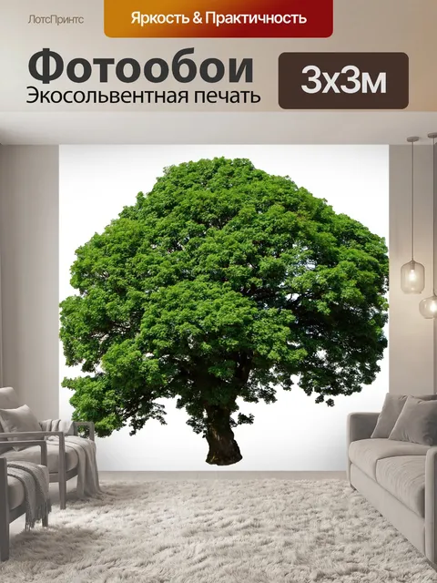 Фотообои Дерево, изолированных на белом