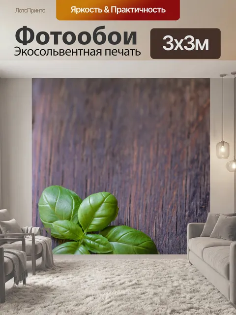 Фотообои базилик, лист, трава