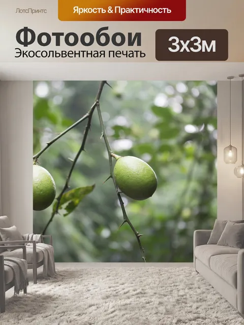 Фотообои Природа