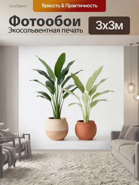Фотообои Тропические растения в горшках