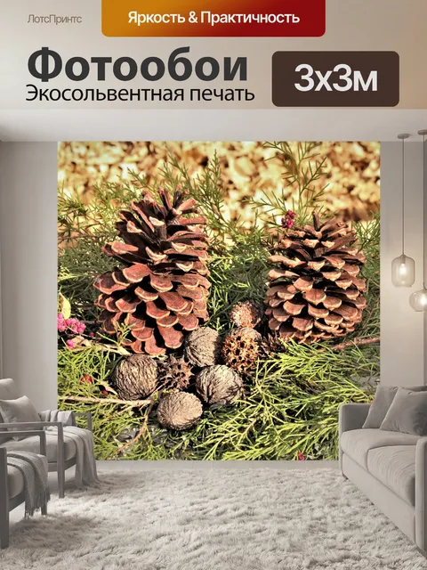 Фотообои Сосновые шишки и кедр