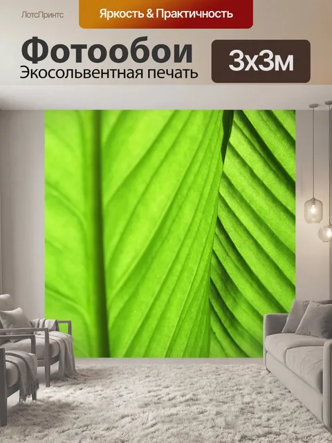 Фотообои Листья