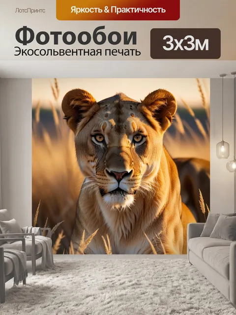 Фотообои львица на закате, окруженная золотыми травами