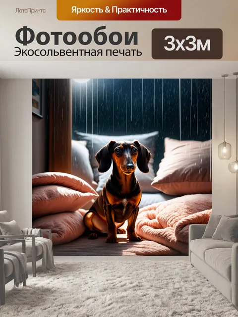 Фотообои такса, наблюдающая за дождем из окна уютной комнаты с мягкими подушками и пледами
