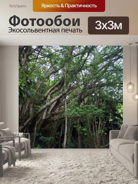 Фотообои субтропическая растительность и деревья