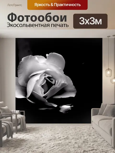 Фотообои Одинокая белая роза, черный фон