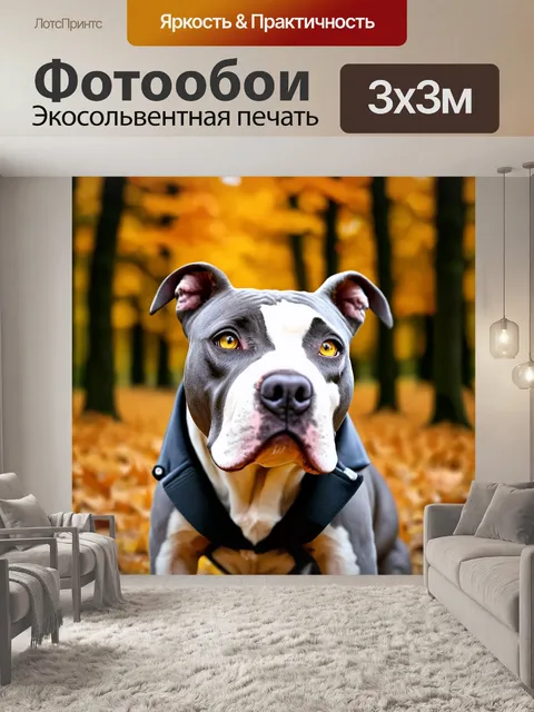 Фотообои Крупный план головы собаки породы питбуль с серо-белым окрасом