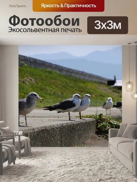 Фотообои Животное