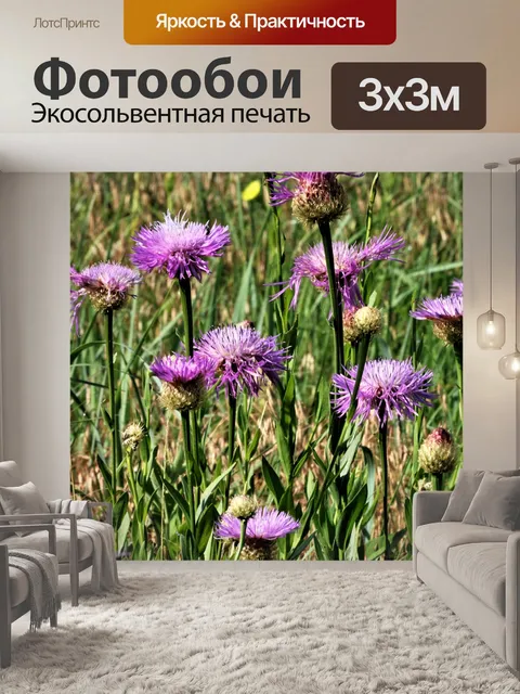 Фотообои Американская корзинка полевых цветов в п