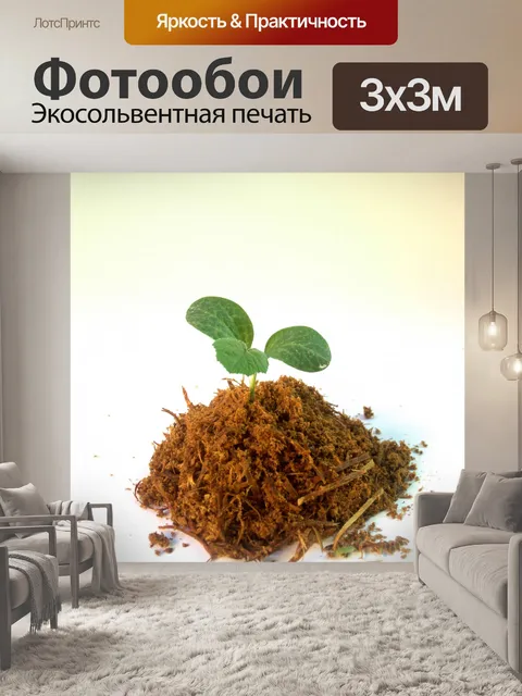 Фотообои Молодое дерево