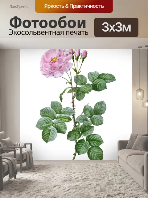 Фотообои Роза Винтаж Искусство Клипарт