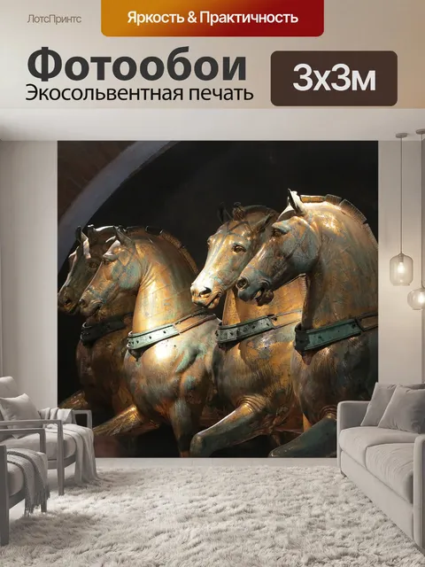 Фотообои Лошади