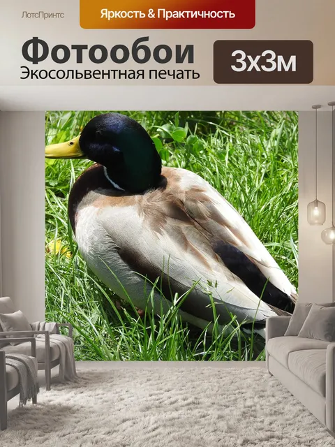 Фотообои Птицы