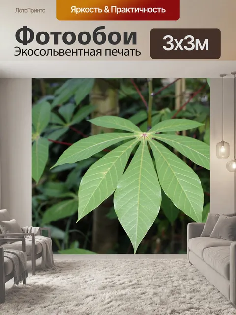 Фотообои Листья маниоки