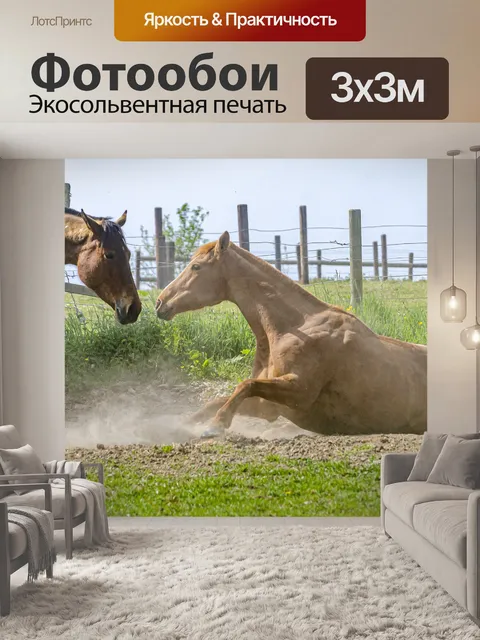 Фотообои Лошадь