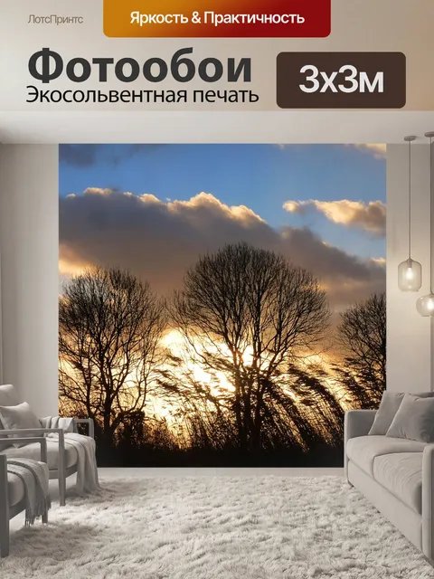 Фотообои Деревья