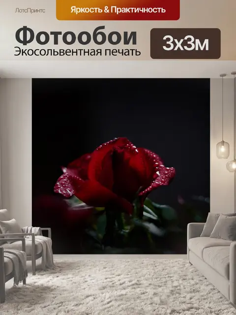 Фотообои Роза