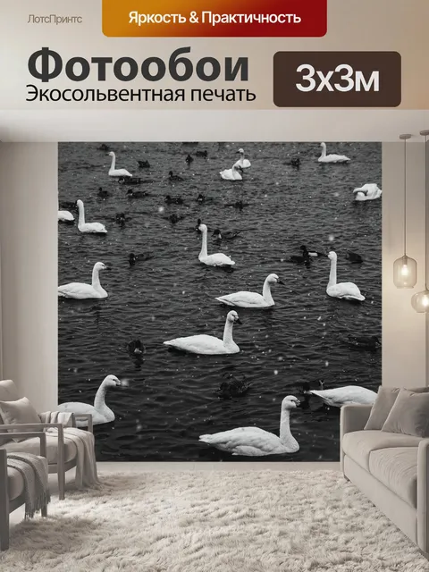 Фотообои Лебеди