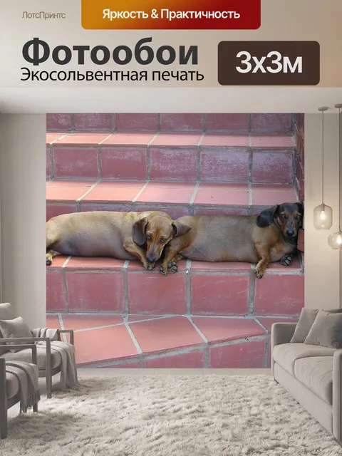Фотообои Животное