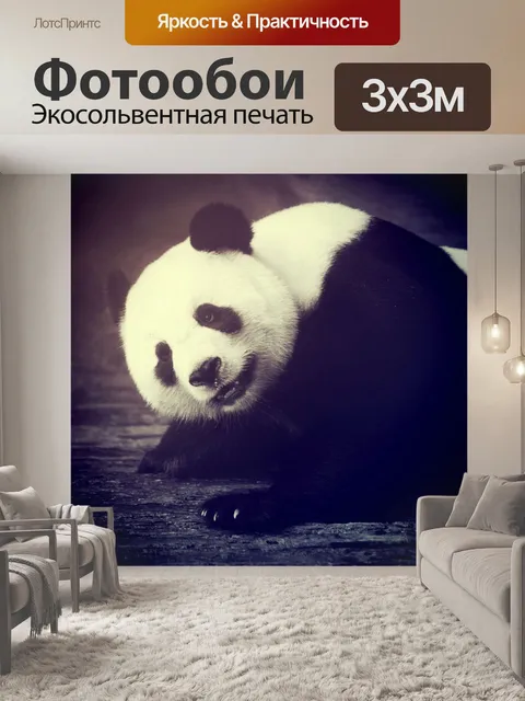 Фотообои Гигантская панда