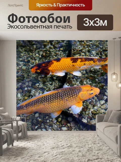 Фотообои Рыбы