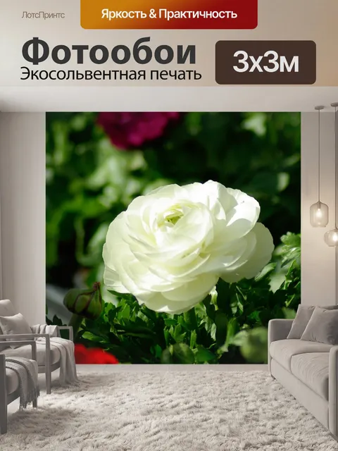 Фотообои Цветы